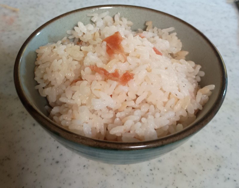 梅ごはん